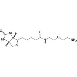 Chemscene ChemScene | Biotin-PEG1-NH2 | 250MG | CS-0147801 | 0.97 | 811442-85-0|