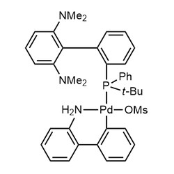 Chemscene ChemScene | (t-Bu)PhCPhos Pd G3 | 100MG | CS-0159985 | 0.98 |
