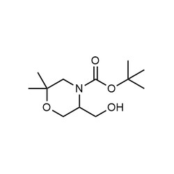 Chemscene ChemScene | tert-Butyl 5-(hydroxymethyl)-2,2-dimethylmorpholine-4-carboxylate