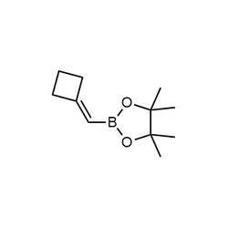 Chemscene ChemScene | 2-(Cyclobutylidenemethyl)-4,4,5,5-tetramethyl-1,3,2-dioxaborolane