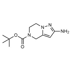 Chemscene ChemScene | tert-butyl 2-amino-6,7-dihydropyrazolo[1,5-a]pyrazine-5(4H)-carboxylate