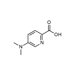 Chemscene ChemScene | 5-(Dimethylamino)picolinic acid | 250MG | CS-0434874
