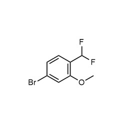 Chemscene&nbsp;ChemScene | 4-Bromo-1-(difluoromethyl)-2-methoxybenzene | 1G | CS-0443272 | 0.97 | 1254034-35-9| MFCD18391056 |  237.043