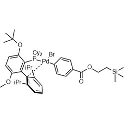 Chemscene ChemScene | GPhos Pd G6 TES | 250MG | CS-0647760 | 0.98 | 2489525-81-5|