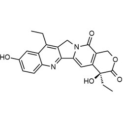 Chemscene ChemScene | SN-38 | 5G | CS-1579 | 0.98 | 86639-52-3| MFCD00871873