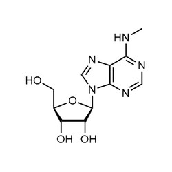 Chemscene ChemScene | N6-Methyladenosine | 5G | CS-3285 | 0.98 | 1867-73-8|