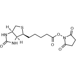 Chemscene ChemScene | Biotin NHS | 10G | CS-5714 | 0.98 | 35013-72-0| MFCD00078531