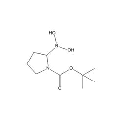 Chemscene ChemScene | 1-N-Boc-Pyrrolidin-2-ylboronic acid | 10G | CS-D0287