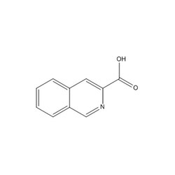 Chemscene ChemScene | 3-Isoquinolinecarboxylic acid | 10G | CS-D0699 |