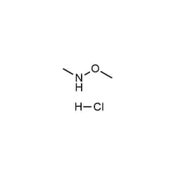 Chemscene ChemScene | N,O-Dimethylhydroxylamine (hydrochloride) | 100G