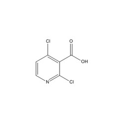 Chemscene ChemScene | 2,4-Dichloronicotinic acid | 10G | CS-D1387 | 0.98