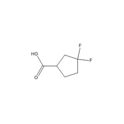 Chemscene ChemScene | 3,3-Difluorocyclopentaecarboxylic acid | 250MG |