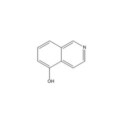 Chemscene ChemScene | 5-Hydroxyisoquinoline | 10G | CS-W004721 | 0.98 |