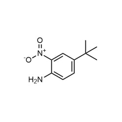 Chemscene ChemScene | 4-(tert-Butyl)-2-nitroaniline | 5G | CS-W004854 |