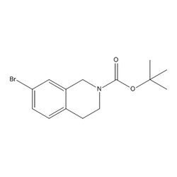 Chemscene ChemScene | tert-Butyl 7-bromo-3,4-dihydroisoquinoline-2(1H)-carboxylate