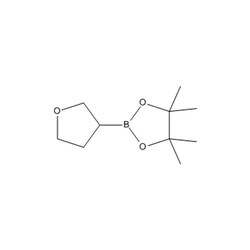 Chemscene ChemScene | 4,4,5,5-Tetramethyl-2-(tetrahydrofuran-3-yl)-1,3,2-dioxaborolane