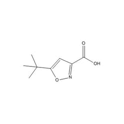Chemscene ChemScene | 5-(tert-Butyl)isoxazole-3-carboxylic acid | 1G |