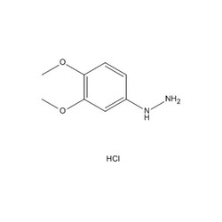 Chemscene ChemScene | (3,4-Dimethoxyphenyl)hydrazine hydrochloride | 250MG