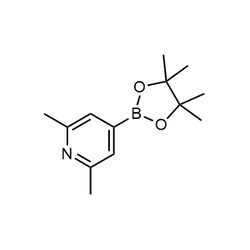 Chemscene&nbsp;ChemScene | 2,6-Dimethyl-4-(4,4,5,5-tetramethyl-1,3,2-dioxaborolan-2-yl)pyridine | 25G | CS-W006744 | 0.98 | 325142-95-8| MFCD11617853 |  233.12