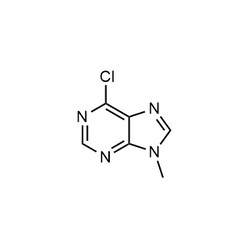 Chemscene ChemScene | 6-Chloro-9-methyl-9H-purine | 250MG | CS-W006949