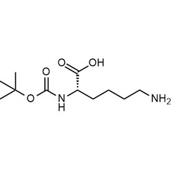 Chemscene ChemScene | Boc-Lys-OH | 25G | CS-W007618 | 0.98 | 13734-28-6|
