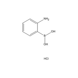 Chemscene ChemScene | 2-Aminophenylboronic acid hydrochloride | 10G | CS-W008208 | 0.98 | 863753-30-4| MFCD02258096 |  173.41