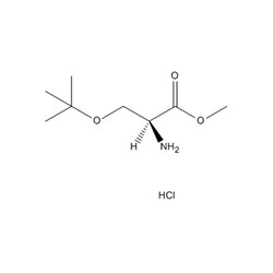 Chemscene ChemScene | H-Ser(tBu)-OMe.HCl | 5G | CS-W010486 | 0.97 | 17114-97-5|