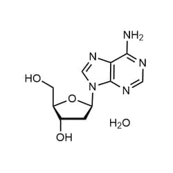 Chemscene ChemScene | 2'-Deoxyadenosine monohydrate | 100G | CS-W012399 | 0.98 | 16373-93-6| MFCD00149364 |  269.26
