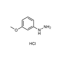 Chemscene ChemScene | (3-Methoxyphenyl)hydrazine hydrochloride | 100G |