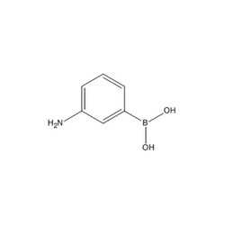Chemscene ChemScene | 3-Aminophenylboronic acid | 25G | CS-W018320 | 0.98