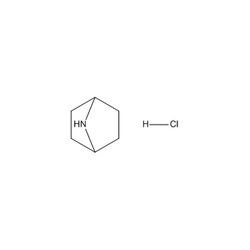 Chemscene ChemScene | 7-Azabicyclo[2.2.1]heptane hydrochloride | 1G | CS-W018698