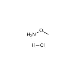 Chemscene ChemScene | Methoxyamine (hydrochloride) | 25G | CS-W020192 |