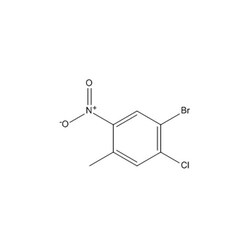 Chemscene ChemScene | 1-Bromo-2-chloro-4-methyl-5-nitrobenzene | 1G | CS-W021306 | 0.98 | 1126367-34-7| MFCD08059082 |  250.48