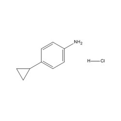Chemscene ChemScene | 4-Cyclopropylaniline hydrochloride | 1G | CS-W022173
