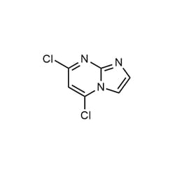 Chemscene ChemScene | 5,7-Dichloroimidazo[1,2-a]pyrimidine | 250MG | CS-W022278