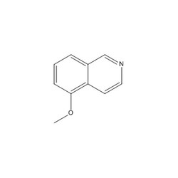 Chemscene ChemScene | 5-Methoxyisoquinoline | 1G | CS-W022404 | 0.97 |