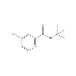 Chemscene ChemScene | tert-Butyl 4-chloropicolinate | 1G | CS-W023010 |