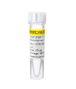 Sartorius Recombinant human KGF (FGF-7) protein 0.01 mg | Buy Online | Sartorius | Fisher Scientific