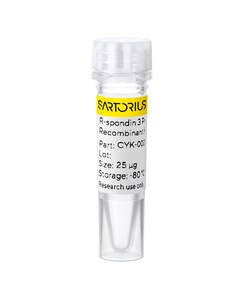 Sartorius Recombinant human R-spondin 3 protein 0.025 mg | Buy Online | Sartorius | Fisher Scientific