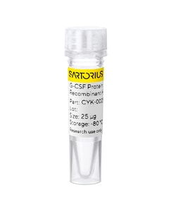 Sartorius&nbsp;Recombinant human G-CSF protein