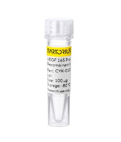 Sartorius Recombinant human IGF-1 LR3 protein 0.1 mg | Buy Online | Sartorius | Fisher Scientific