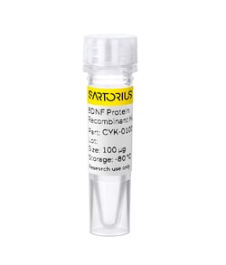 Sartorius Recombinant human BDNF protein 0.1 mg | Buy Online | Sartorius | Fisher Scientific