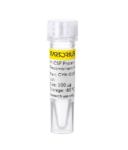 Sartorius Recombinant human M-CSF protein 0.1 mg | Buy Online | Sartorius | Fisher Scientific
