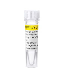 Sartorius&nbsp;Recombinant FGF2-G3 protein