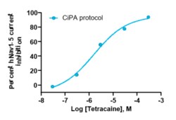 Eurofins Discoverx&nbsp;PrecisION hNav1.5 Recombinant Stable Cell Line, 2 vials. (CYL3004)