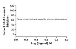 Eurofins Discoverx&nbsp;PrecisION hKv1.6 Recombinant Stable Cell Line, 2 vials. (CYL3019)