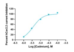 Eurofins Discoverx PrecisION hCav2.2 α1B/β3/α2/δ1 Recombinant Stable Cell