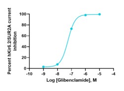 Eurofins Discoverx&nbsp;PrecisION hKir6.2/SUR2A Recombinant Stable Cell Line, 2 vials. (CYL3099)