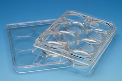 Advanced Biomatrix CytoSoft 6-well Plate, Elastic Modulus 0.5 kPa, Quantity: