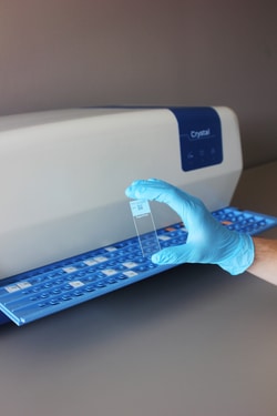 Dreampath CRYSTAL Software with Installation